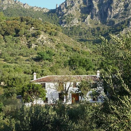 Betania Guest House Grazalema Exterior photo