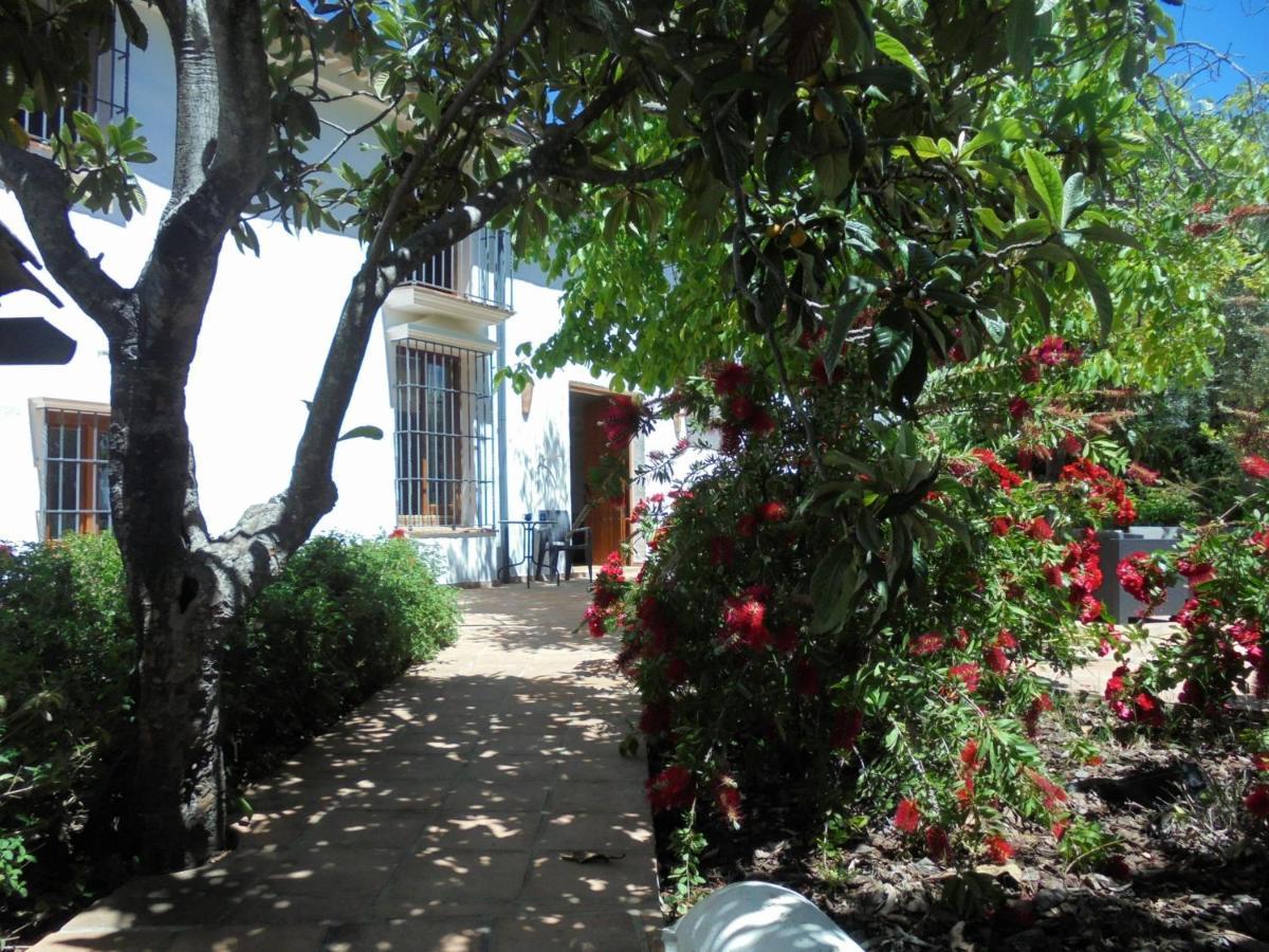 Betania Guest House Grazalema Exterior photo
